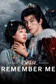 Please Remember Me tv show poster