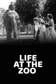 Poster do filme Life at the Zoo