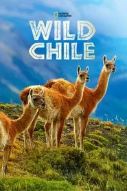 Wild Chile tv show poster