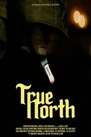 True North movie poster