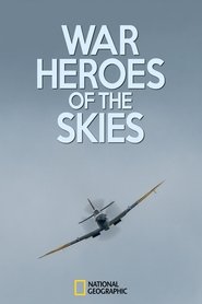 War Heroes of the Skies tv show poster