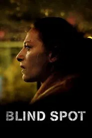 Poster do filme Blind Spot