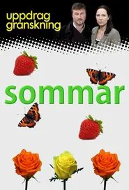 Poster da série Uppdrag granskning sommar