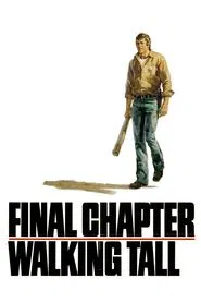 Final Chapter: Walking Tall movie poster