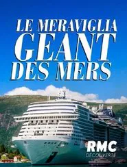 Le Meraviglia : Géant des mers movie poster