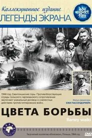 Barwy walki movie poster