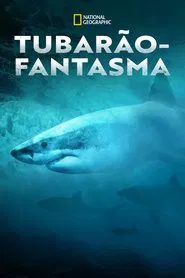 Poster do filme Tubarão-Fantasma