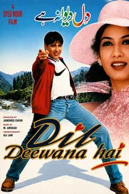 Dil Deewana Hai movie poster