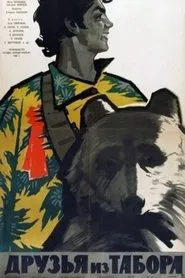 Friends From the Camp movie poster
