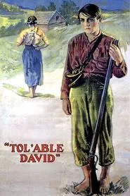 Poster do filme Tol'able David
