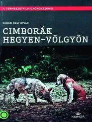 Cimborák - Hegyen-völgyön movie poster