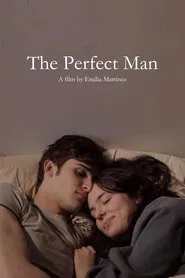 The Perfect Man movie poster