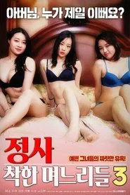 An Affair: Kind Daughters-in-law 3 movie poster