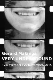 Poster do filme Gerard Malanga's Film Notebooks