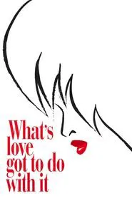 What's Love Got to Do with It movie poster