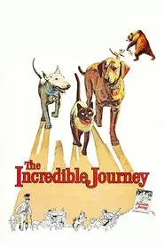 The Incredible Journey movie poster