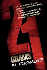 21 Grams: In Fragments movie poster