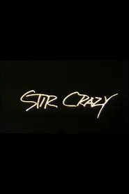 Stir Crazy tv show poster