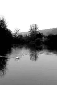 Silences movie poster