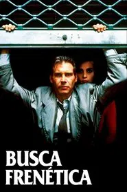 Poster do filme Busca Frenética