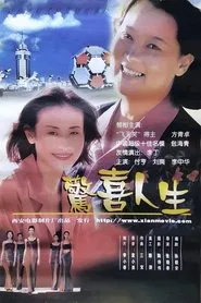 惊喜人生 movie poster