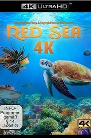 Red Sea movie poster