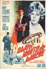 Poster do filme Under the Cover of Night