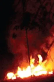 Every Flame Tree is a Burning Island movie poster