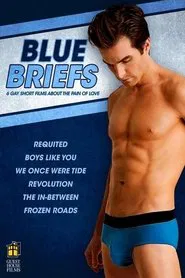 Blue Briefs movie poster