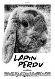 Lost Rabbit movie poster