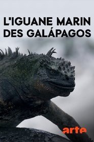 Poster do filme The Marine Iguanas of the Galapagos