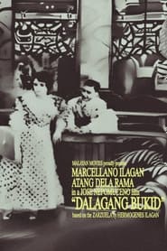 Country Maiden movie poster