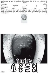 Poster do filme Vortex