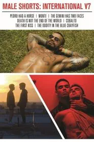 Male Shorts: International V7 movie poster