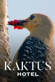 Kaktus Hotel movie poster