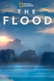 The Flood movie poster
