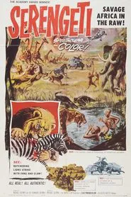 Poster do filme Serengeti Shall Not Die