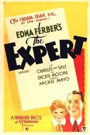 Poster do filme The Expert