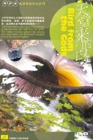 Birds from the Gods movie poster