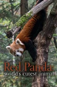 Red Panda: World's Cutest Animal movie poster