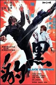 The Black Panther movie poster