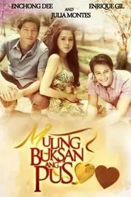 If Only tv show poster