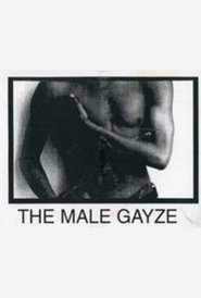 The Male GaYze movie poster