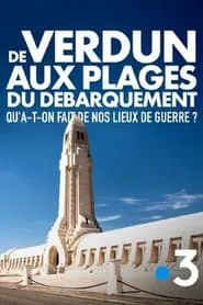 De Verdun aux plages du débarquement... Traces de guerre movie poster
