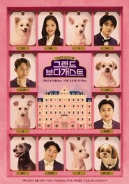 그랜드 부다개스트 tv show poster