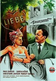Liebe im Finanzamt movie poster