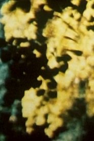 Broken Blossoms movie poster