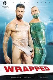 Poster do filme Wrapped