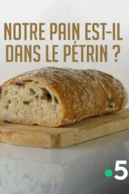 Notre pain est-il dans le pétrin ? movie poster
