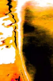 Pulmão Vagalume movie poster